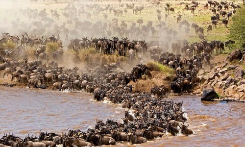 EXTENDED NORTHERN SAFARI & ZANZIBAR ROUTE