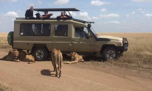 EXTENDED NORTHERN SAFARI HOLLIDAY